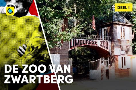 De Zoo van Zwartberg in Genk komt tot leven in。